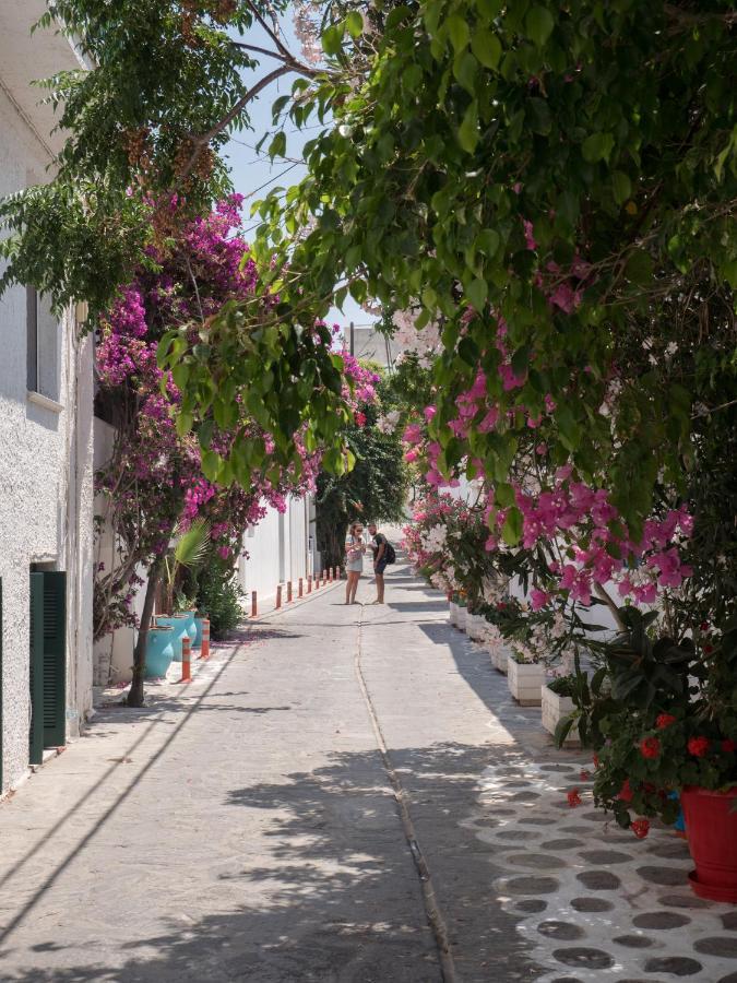 Terra Fos Naxos Studios Naxos City Экстерьер фото